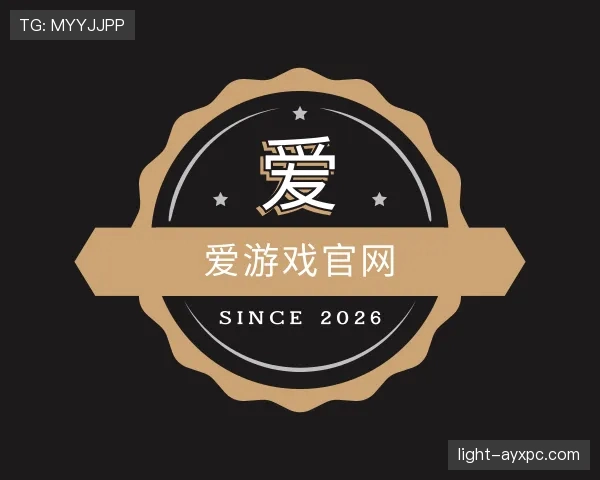 关于爱游戏